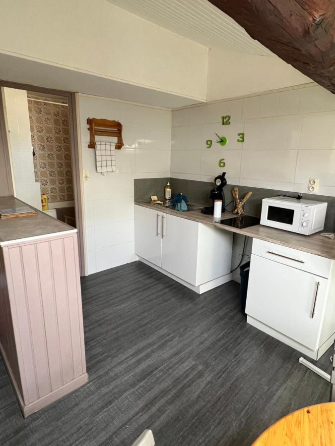 Appartement Centre Ville De การ์กาซอน ภายนอก รูปภาพ